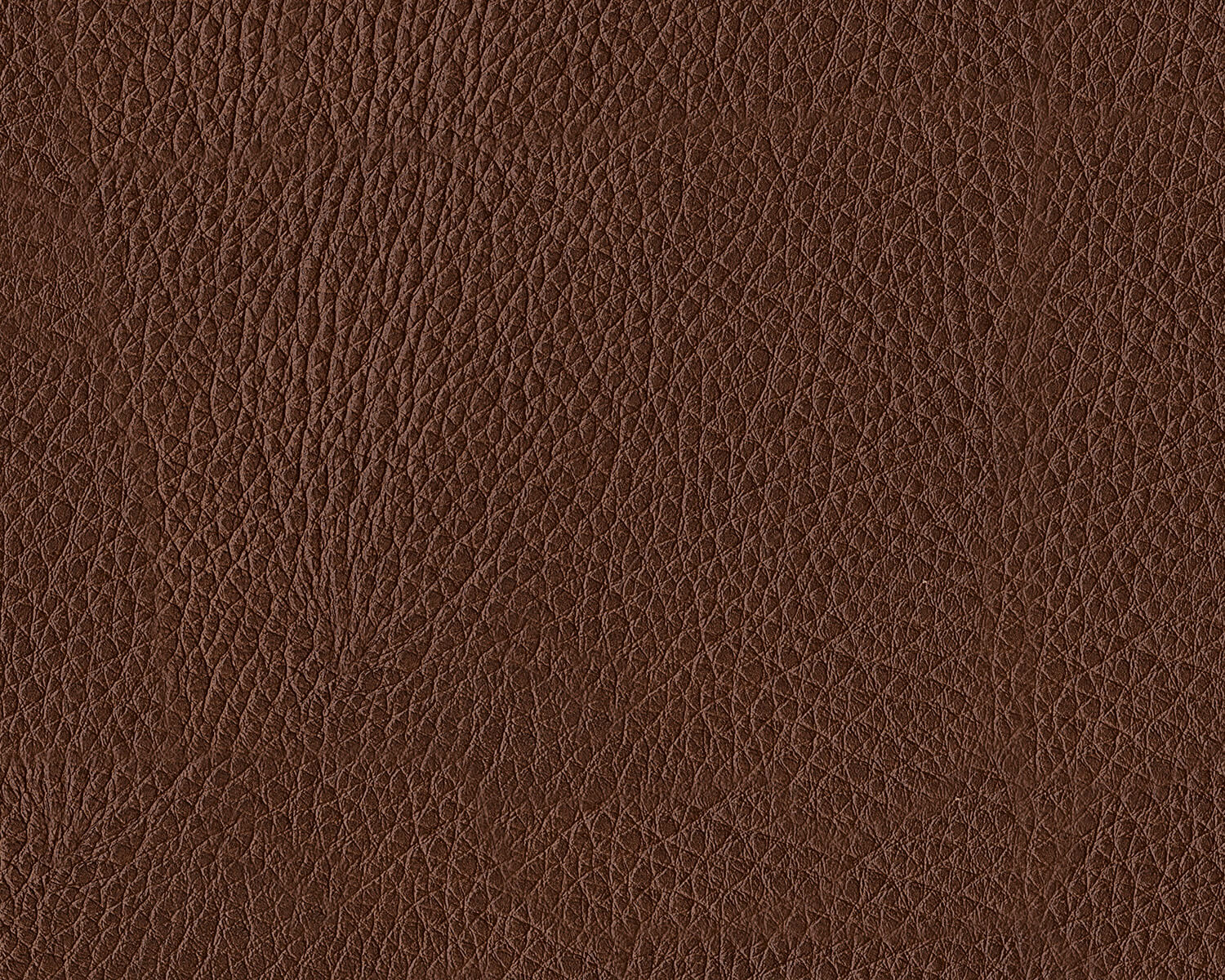 Brogliano Leather Sofa